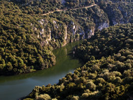 Territorio - Il fiume Cedrino